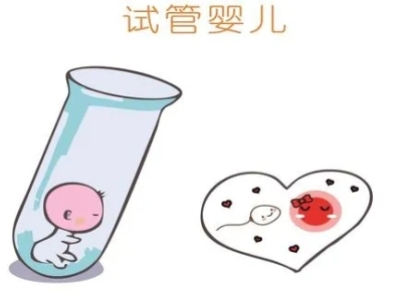 卵巢功能差能做试管婴儿吗?