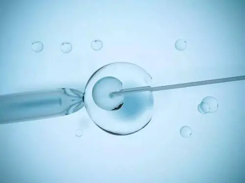 试管胚胎移植术后要注意什么？有什么试管婴儿移植后注意事项？(图1)