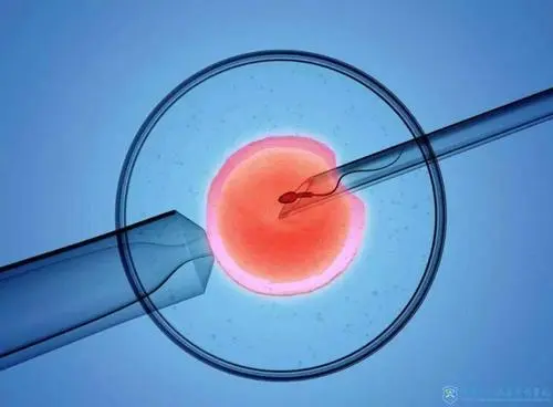 试管婴儿移植后，翻身会导致胚胎流出去吗？(图1)