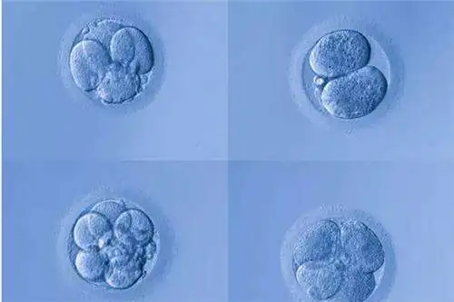 做试管婴儿更适合仁化县试管婴儿公立医院还是私立生殖中心？(图1)