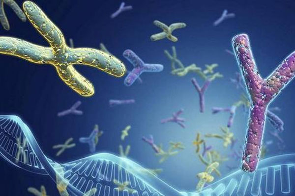 试管婴儿知识|为什么不能移植多个胚胎提高成功(图1)