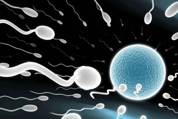 精子分离术对于生男生女有非常大的帮助