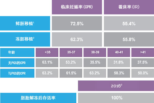 马来西亚阿儿法试管婴儿成功率