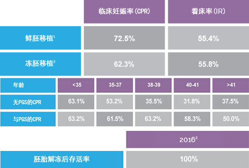 马来西亚阿儿法试管婴儿成功率