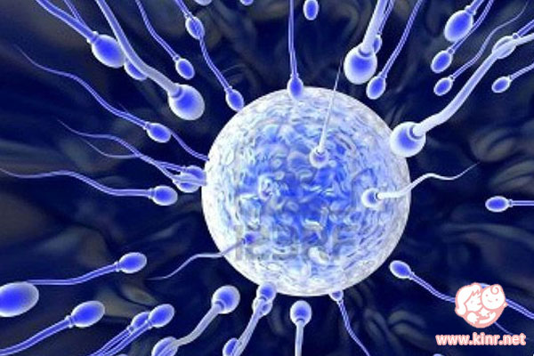 俄罗斯人工授精要多少钱?les赴俄人工授精的费(图3) 俄罗斯夫精人工授精费用