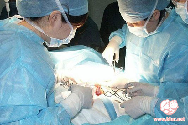 俄罗斯人工授精要多少钱?les赴俄人工授精的费(图2) 俄罗斯人工授精费用