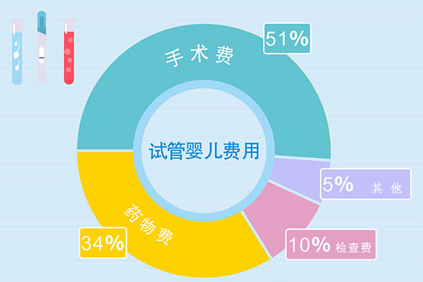 湖北试管婴儿费用大约需要多少钱