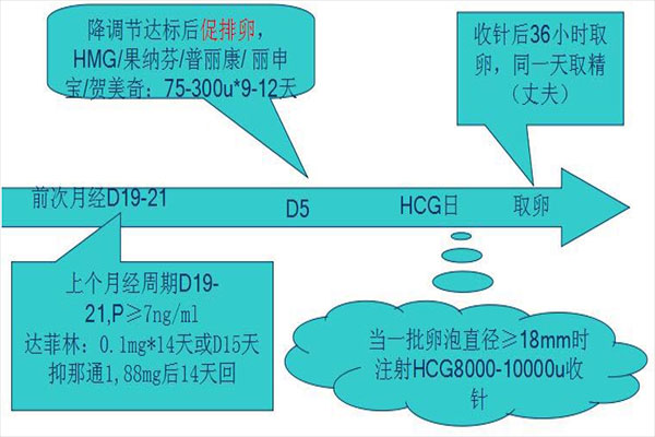 试管超长方案流程如下