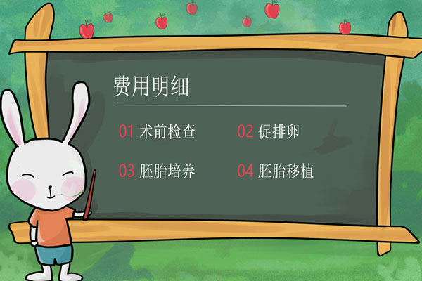 成都试管婴儿价格明细一览表