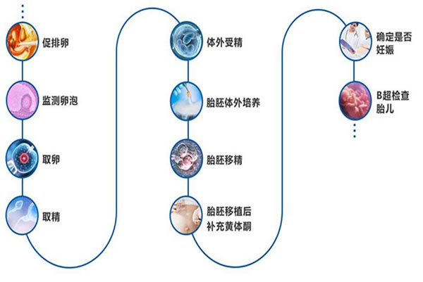 试管婴儿全流程详解