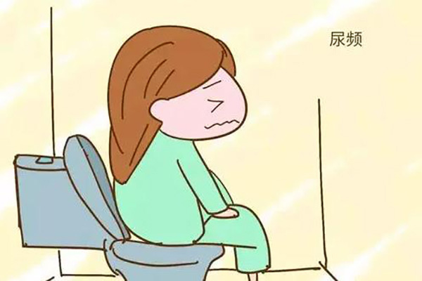 囊胚移植后成功的六个征兆
