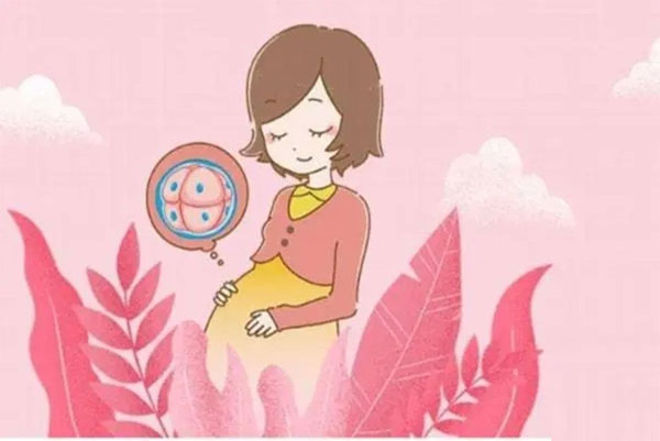 试管婴儿费用大概要多少钱