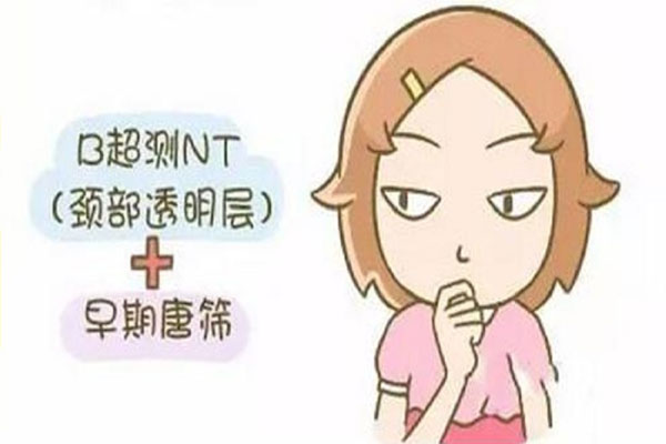 nt检查的流程