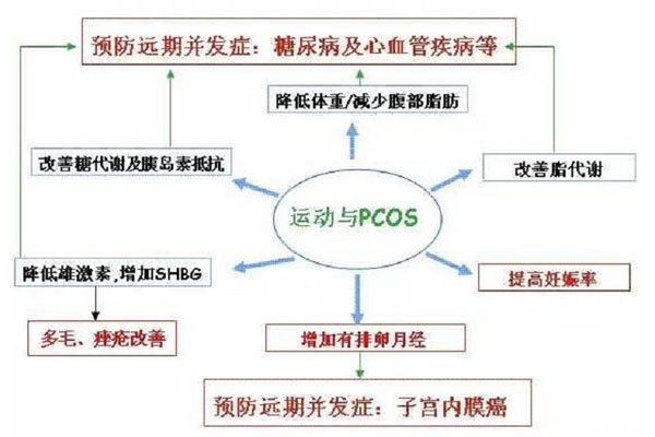 减肥对于患有多囊卵巢综合证的肥胖女性是有用的