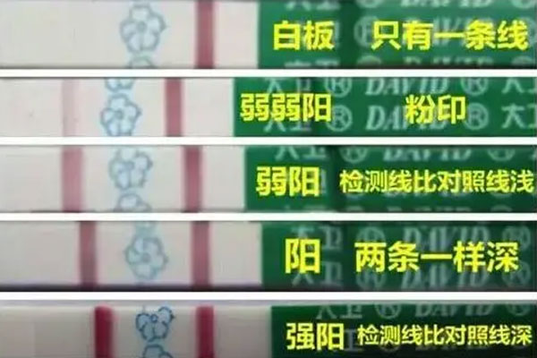 排卵试纸强阳性怎么看