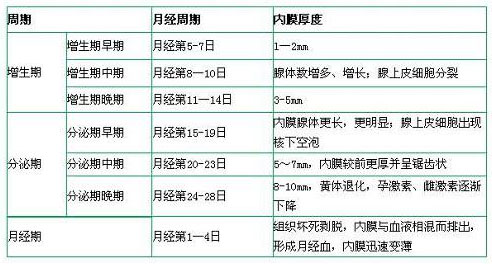 子宫内膜厚度