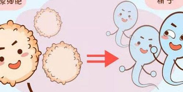 监测子宫内膜厚度的意义