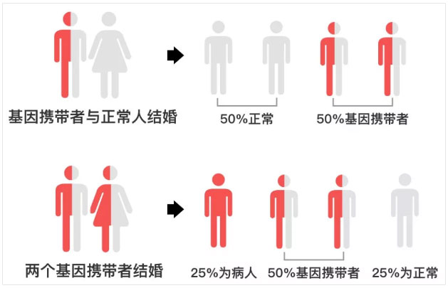甲基丙二酸血症怎么遗传