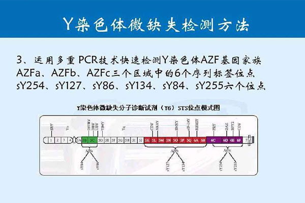 Y染色体微缺失检查