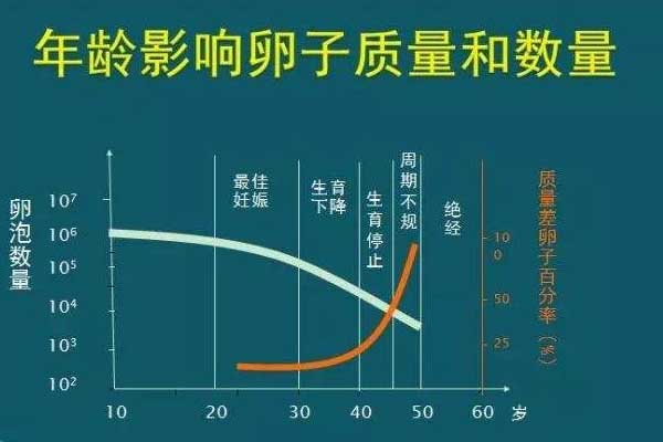 高龄与生育力的关系