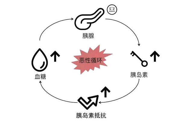 青岛47岁助孕：胰岛素抵抗