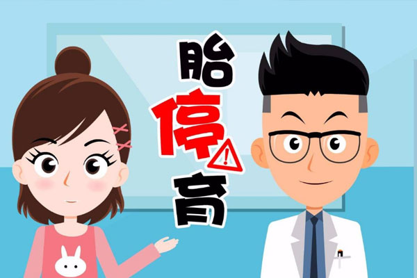 泰国试管婴儿胚胎停育的原因是什么