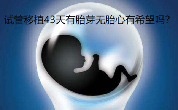 试管43天没有胎心正常吗