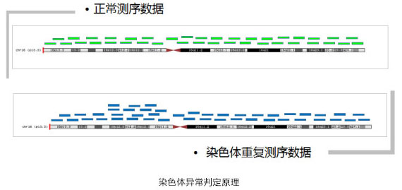 染色体异常判定原理