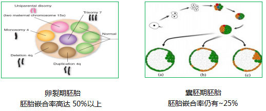 不同时期的嵌合比率