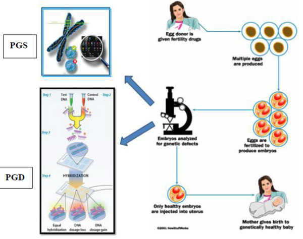 PGS/PGD的介绍