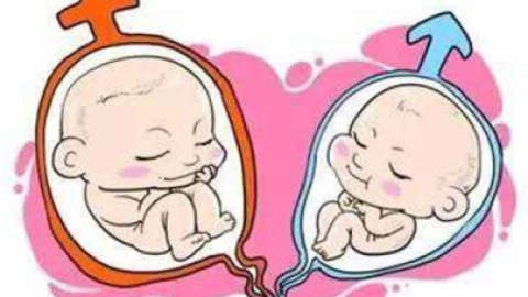 试管婴儿知识百科|子宫内膜薄可以做试管吗?