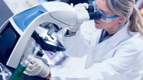 此3类难孕育人群赴美做试管，分别有什么方案？