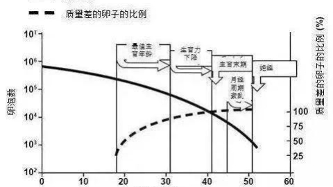 试管婴儿备孕重点：生育力与年龄的关系生孩子