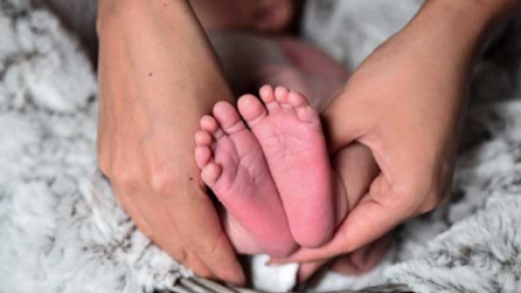 马来西亚联合生育医院试管婴儿成功率高吗
