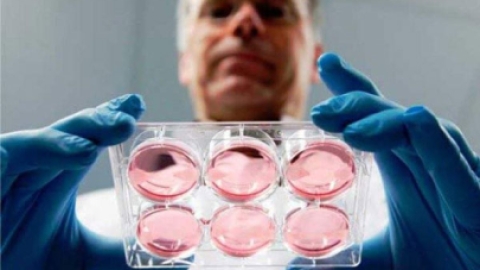 俄罗斯做试管婴儿的医院如何选择?