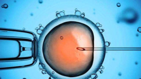 俄罗斯试管婴儿成功高吗?费用需要多少?