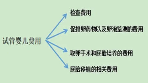 揭秘海外试管婴儿费用明细