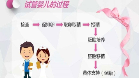 带你了解做试管婴儿全流程