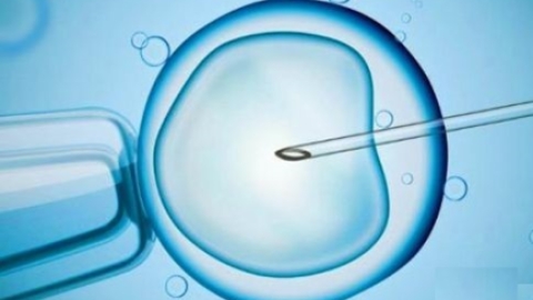 国内试管婴儿“冻胚移植”趋向成熟