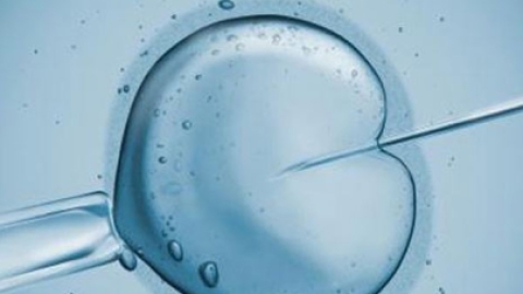 泰国试管婴儿成功率是多少?很高吗?