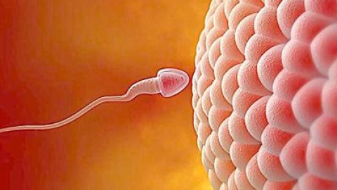 国内怎样去泰国做试管婴儿，太麻烦就完蛋了