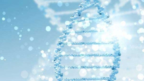 泰国试管婴儿促排卵前的降调是怎么回事？