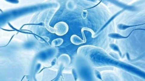 没有体检能直接去泰国做试管婴儿吗