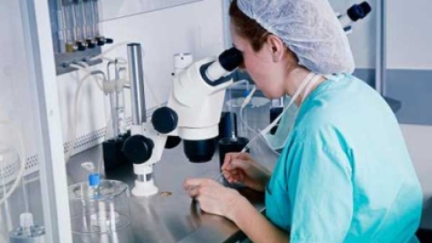 泰国试管婴儿生男孩真的靠谱吗？