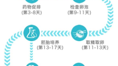 试管婴儿的具体流程，从国内准备到验孕回国的步骤