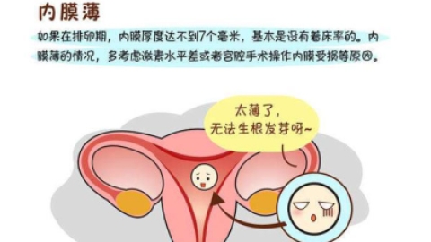 子宫内膜薄会影响怀孕吗？子宫内膜薄的原因如