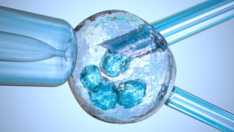 泰国试管婴儿需要做哪些检查？