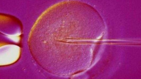 做泰国试管婴儿前要做好哪些准备工作？