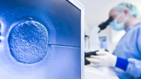 做泰国试管婴儿前要考虑哪些因素？