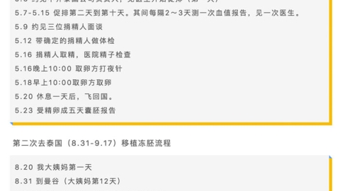 泰国试管婴儿经历之心得建议，泰国试管婴儿攻